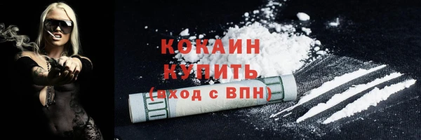 хмурый Лиски