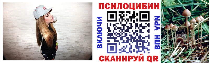Псилоцибиновые грибы Magic Shrooms  мега маркетплейс  Чебоксары 