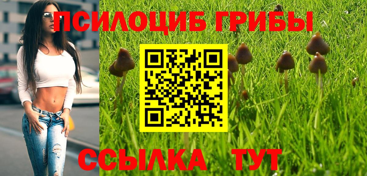 Галлюциногенные грибы Cubensis Чебоксары