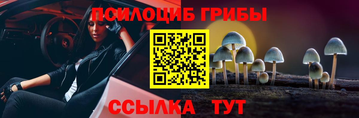 магазин  наркотиков  Псилоцибиновые грибы GOLDEN TEACHER  Чебоксары  Галлюциногенные грибы мухоморы 